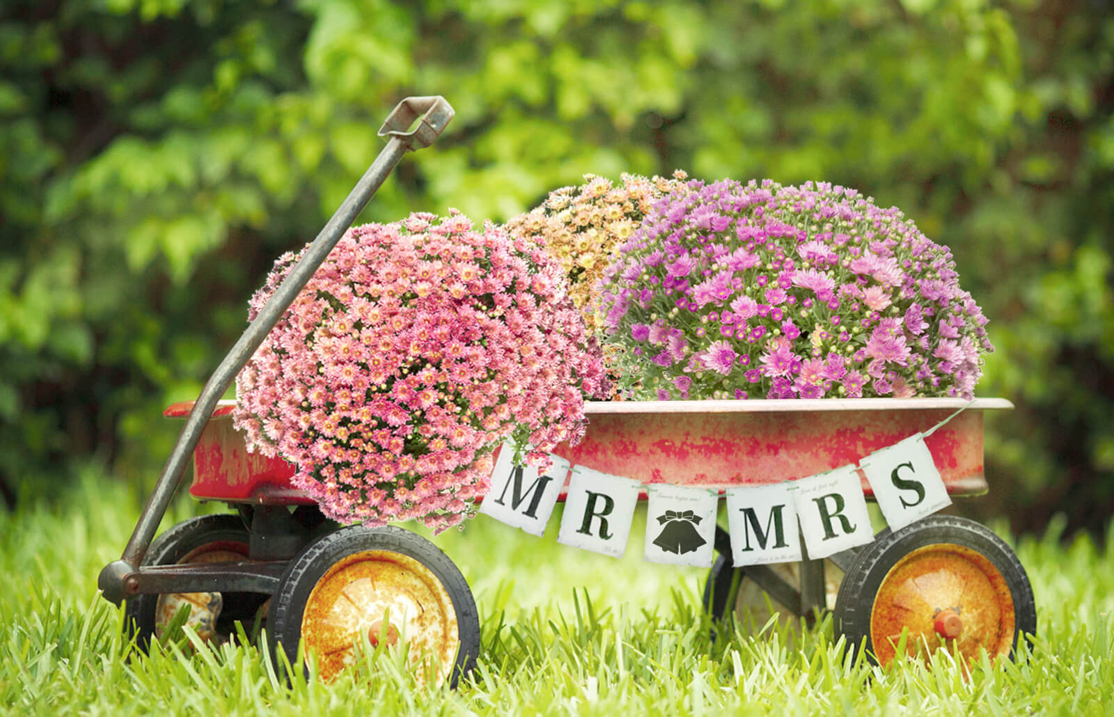 24+ Excellent Picture of Decorating Wagon For Baby In Wedding